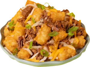 A pile of golden tater tots topped with shredded birria beef, melted cheese, and fresh green onions in a shallow bowl.